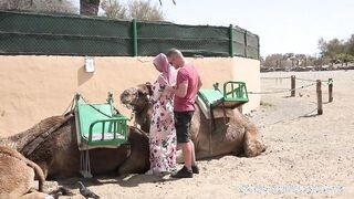 Termetes keblű arab maca kettyintése