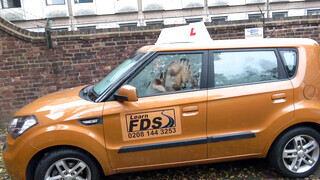 Fake Driving School - Louise Lee imádja a gigászi kukacot